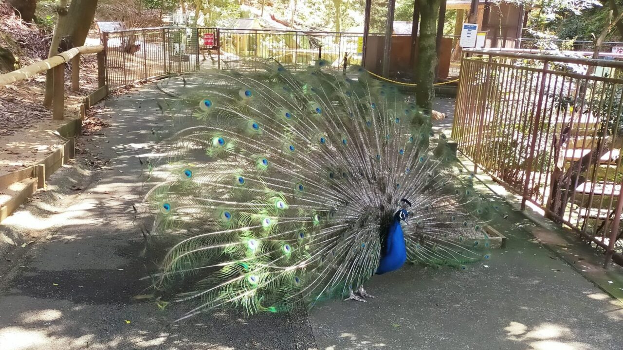 大牟田市動物園